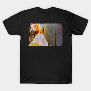 Feathers T-Shirt